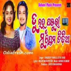 Tu Love Panjuri Mu Prema Chidiaa